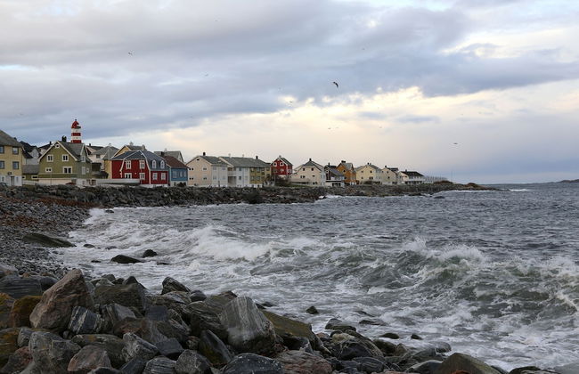 Alnes Gård - Photo 80