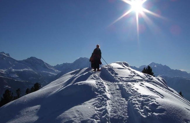 Amici 1. OG West - Foto 28