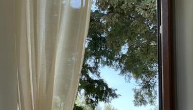 Podere Casagrande - Foto 5, Garden view