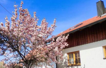 Ferienwohnung zur alten Schmiede - Foto 36