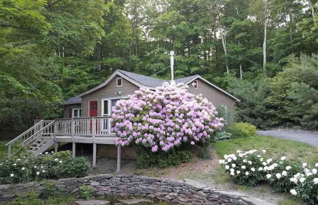 Back House Twin Cabin Ii-hot Tub Fireplace Hiking Retreat - Foto 1