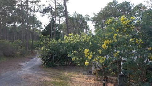 CHALET B NATURISTe MAEVA - Foto 3