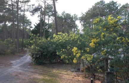 CHALET B NATURISTe MAEVA - Foto 3