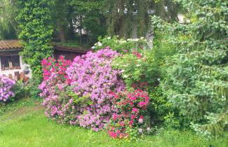 Apartment Freiburg Waldrand - Foto 17