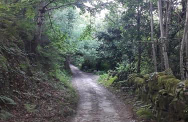 Quinta da Casa Matilde - NATURE HOUSE - Foto 57