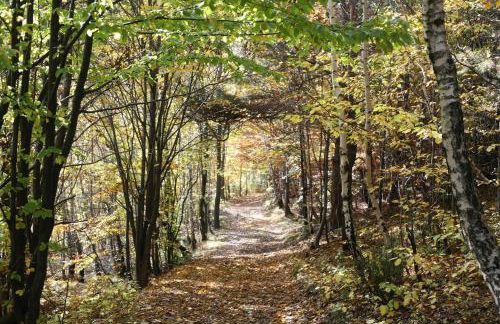 Chata pod 7 lipami - Photo 35