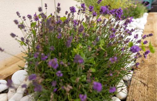 The Luxury House - Foto 71