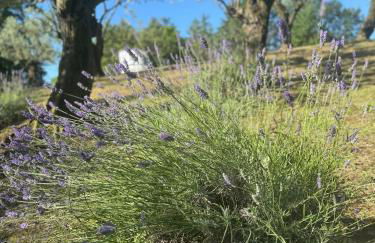 Chalet Bosco Magico Roccolo - Foto 24