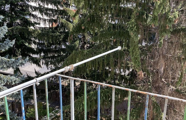 Altstadthaus Cityappartements - Foto 31