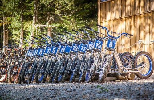 Gite Le Chalet SaintAnthème / Prabouré - Foto 42