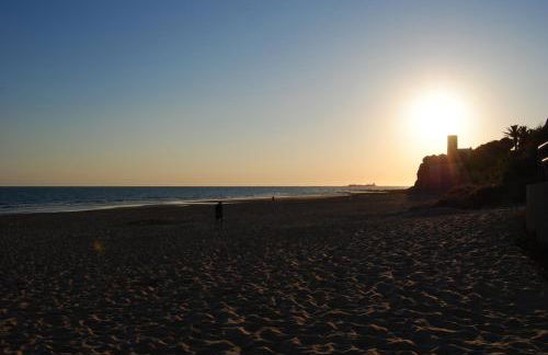 Coto de Sancti Petri - Foto 71