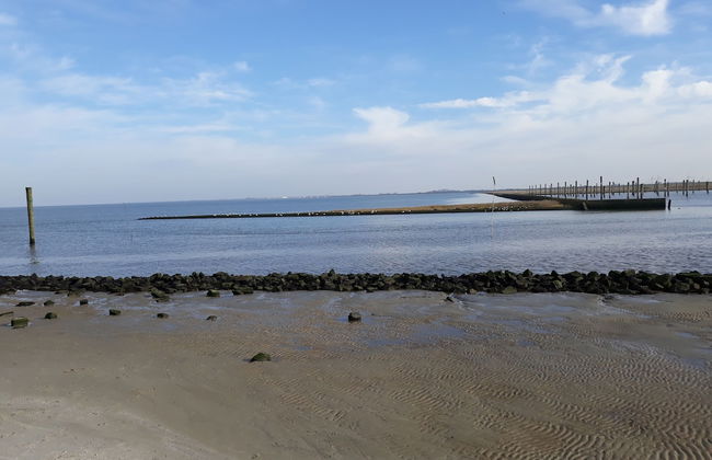 Apartments Fröhling - Foto 67