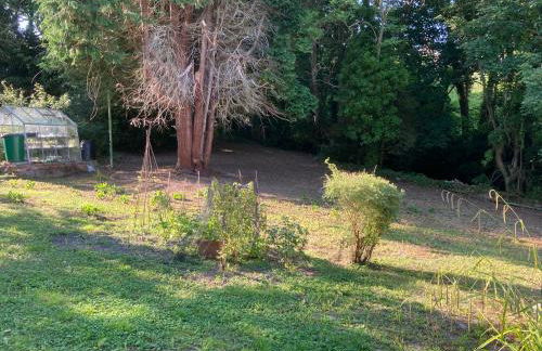 Glyncoch Aberporth - Foto 21