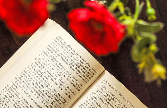 Mont Fort 16 - Foto 10