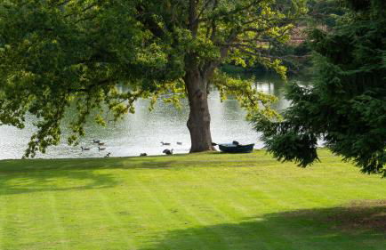 Nor67 Estate - Foto 4