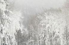 Haus Annemiek met balkon - Photo 63