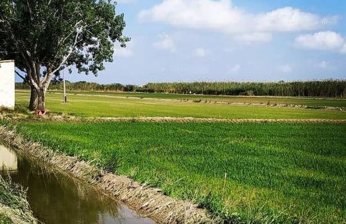 Casa Lorena - Foto 11