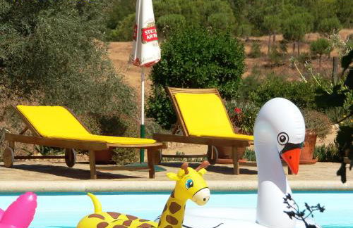 Ninho Da Poupa - Foto 71