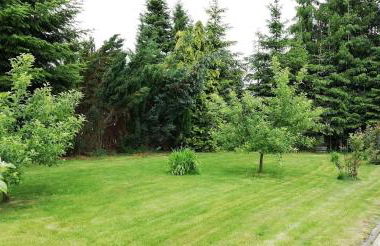 Ferienhaus Köhler - Foto 33