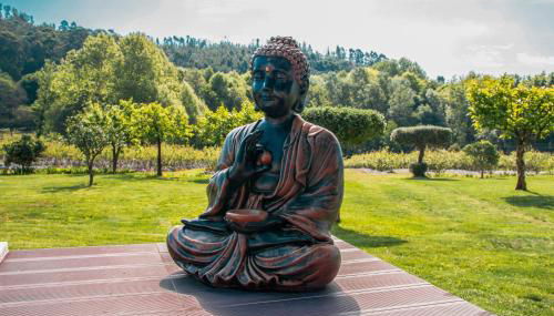 Quinta de Requeixo - Foto 4, Garden, Garden view