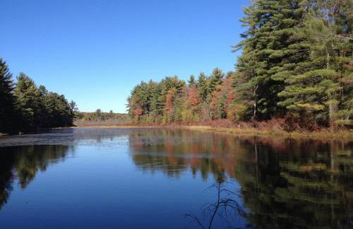 Apple Orchard & Forest Retreat with Woodland Pond - Foto 20