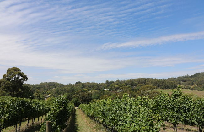 Pavilions at Lenswood - Foto 25