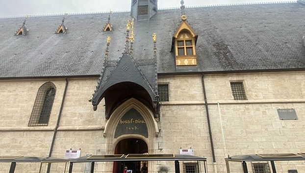 Traslado privado De Lyon a Beaune - Foto 5