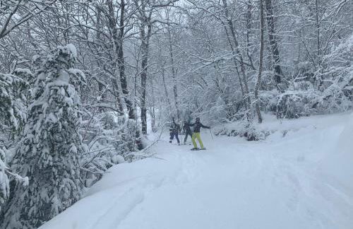El Estacho de Panticosa - Photo 43