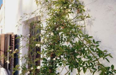 Casa da Póvoa - Foto 64