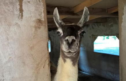 Luxurious private 100sqm studio with infinity pool - Foto 19