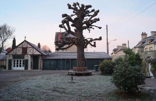 Normand'Histoire Gite 1869 - Foto 30