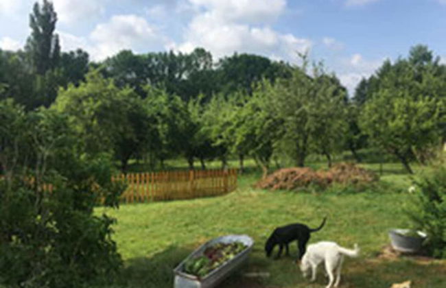 Hof Kiebitz - In Ostrau - Foto 23