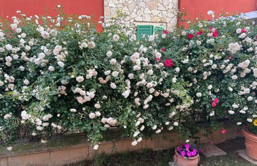 Oasi Relax con Jacuzzi e Giardino Privato - Foto 36