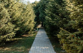 Ośrodek Wczasów Zdrowotnych Rudawka Rymanowska - Foto 41