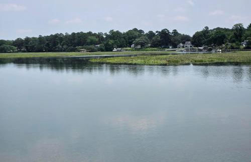 Low Country Cottage in Beautiful Habersham - Photo 28