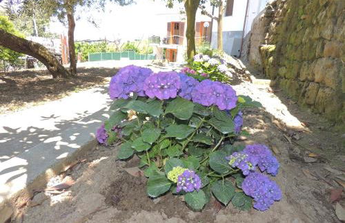 Johanna’s house - Foto 33