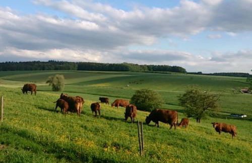 Apartment Schöne Ferienwohnung in Oberwaldbach by Interhome - Foto 8