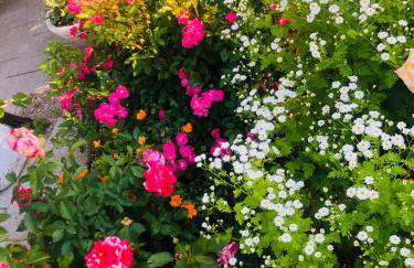 Apartments Smirnov - Foto 39