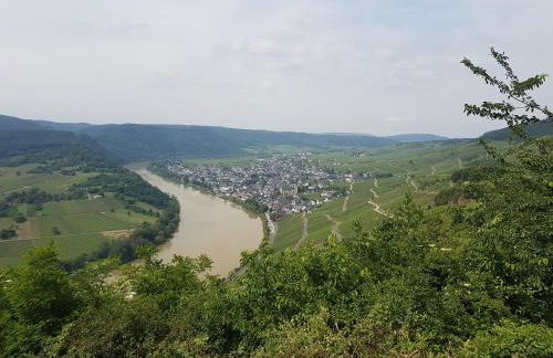 Gästehaus Steuer - Foto 28