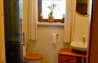 Rzeka i las - Photo 16