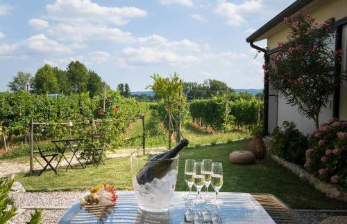 Le Vigne del Gallo - Foto 1