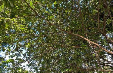 próx ao centro, aeroporto, cidade històrica e praias - Foto 35