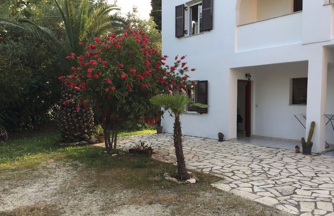 Alexander Apartments - Foto 54