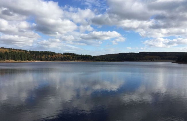 Yellow House Modern Retreat - Foto 23