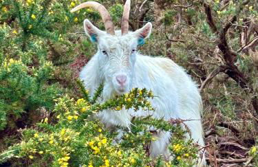 Willesden, Apartment 2, A beautifully furnished and spacious apartment located in the heart of Llandudno - Photo 25
