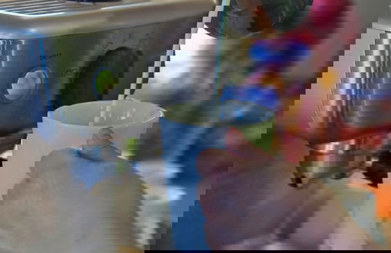 Alpin Motel & Conference Centre - Foto 3