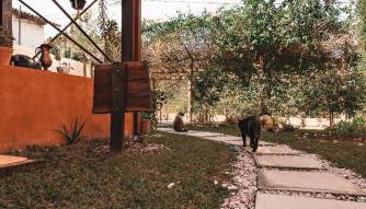 Espaço Canela-de-Ema - Foto 2