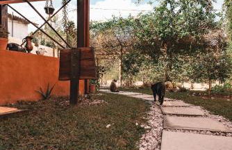 Espaço Canela-de-Ema - Foto 2