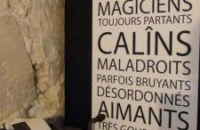 La Tannerie, centre historique, fibre, ESS, rez-de-chaussée, BedinShop - Foto 25