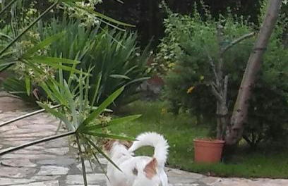 Casa Candelas - Foto 32